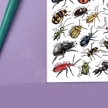 Beetles Of Britain Watercolour Postcard, 7 of 8