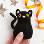 Halloween Cat Easy Needle Felting Kit, thumbnail 1 of 8