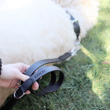 Personalised Brown Or Black Leather Dog Name Collar, 10 of 12