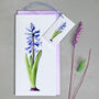 Gift Tags With Hyacinth Illustration, thumbnail 5 of 5