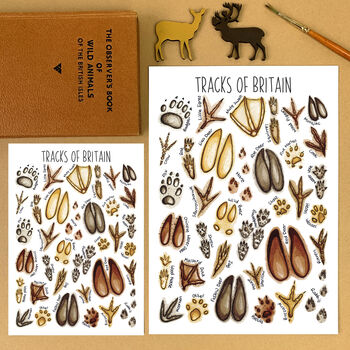 Animal Tracks Of Britain Watercolour Postcard, 2 of 11