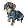 Wired Dachshund Print, thumbnail 3 of 3