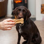 Personalised Dog Biscuits, thumbnail 1 of 4