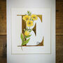 E Is For Evening Primrose Illuminated Botanical Print, thumbnail 1 of 5