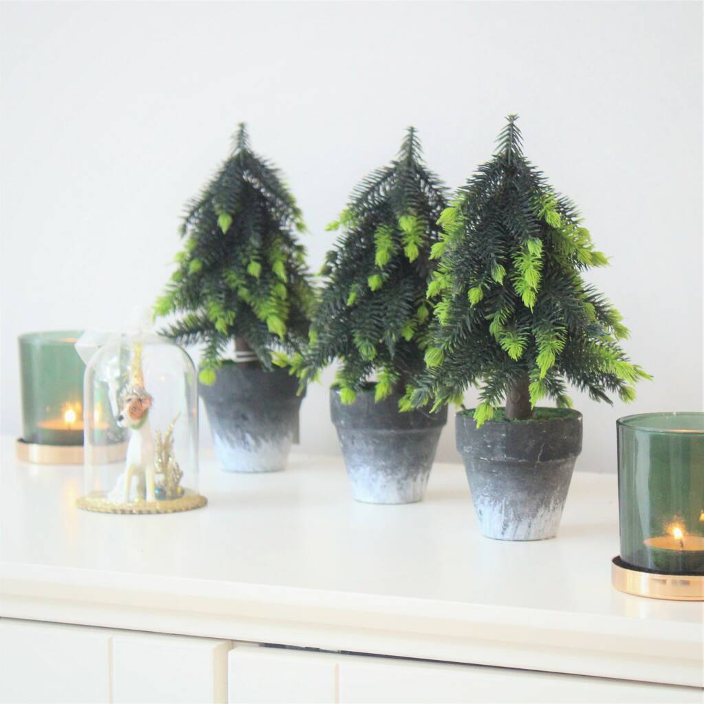 Small Potted Christmas Tree By Little Ella James