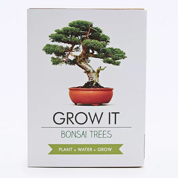 Grow Your Own Bonsai Tree Kit, 3 of 3