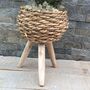 Large Boston Fern In Basket Weave Plant Stand, thumbnail 4 of 8