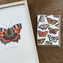 Illustrated Butterfly Greeting Card Blank Inside, thumbnail 4 of 6