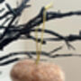 Handmade Needle Felted Mushroom Hanger, thumbnail 2 of 6