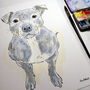 Personalised Pet Portrait, thumbnail 6 of 8