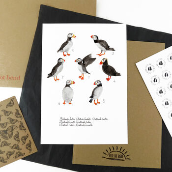 Improbability Of Puffins Art Print, 5 of 8