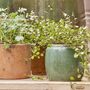 Berit Handmade Planters, thumbnail 1 of 3