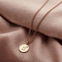 Zodiac Disc Charm Birthstone Necklace, thumbnail 3 of 8