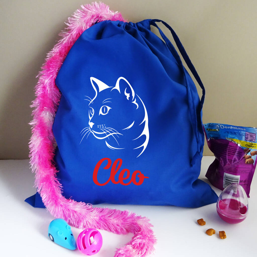 Personalised Cat Storage Bag By FROZEN FIRE | notonthehighstreet.com