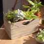 Personalised Floral Planter, thumbnail 2 of 8