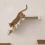 Cat Climbing Hammock Wall Mounted Cat Bed With Stairs, thumbnail 1 of 8