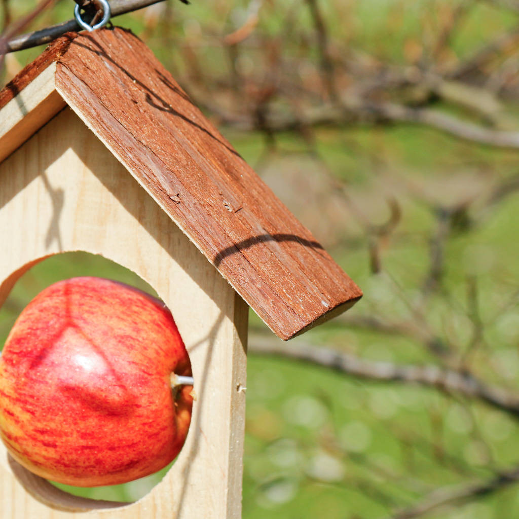 Personalised Wooden Distressed Garden Bird Feeder By Dibor ...