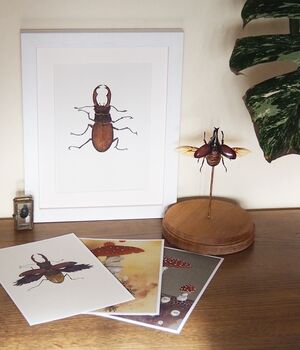 Stag Beetle Natural History Archival Print, 3 of 3