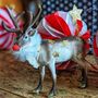 Christmas Reindeer Cake Topper, thumbnail 1 of 6