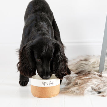 Personalised Engraved Dog Bowl, 5 of 12