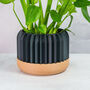 Carbon Trilinear Planter, thumbnail 1 of 4