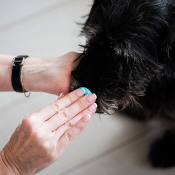 Silver Organic Dog Nose Cast Print Bracelet, 3 of 8