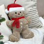 Personalised Gingerbread Hot Water Bottle, thumbnail 1 of 3