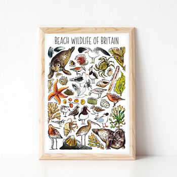 Beach Wildlife Of Britain Wildlife Print, 6 of 9