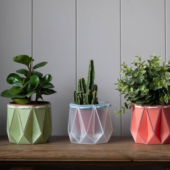 Origami Self Watering Eco Plant Pot: 10cm | Blue Cord, 3 of 5