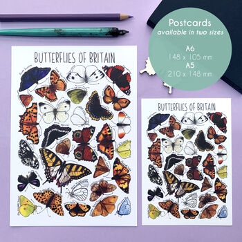 Butterflies Of Britain Illustrated Postcard, 2 of 10