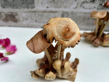 Handcrafted Mushrooms Sculpture On Natural Teak Root, 2 of 8