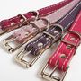 Soft Leather Small Dog Collar, thumbnail 5 of 8