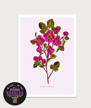 Paeonia Botanical Eco Art Print. One Print = One Tree, 2 of 6