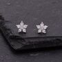 Uncoloured Forget Me Not Flower Cz Stud Earrings, thumbnail 3 of 11
