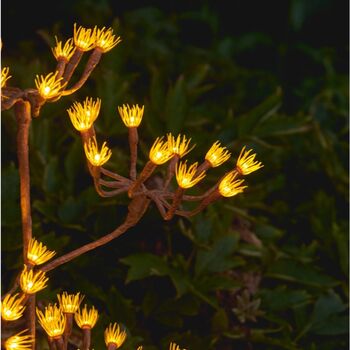 Solar And Battery Powered Wild Fennel Branch, 3 of 4