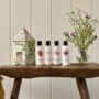 Little Birdhouse Body Care Gift Set, thumbnail 1 of 3
