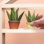 Make Your Own Healing Aloe Vera Paper Plant, thumbnail 2 of 3