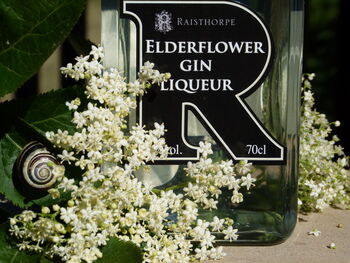 Elderflower Gin 70cl, 2 of 2