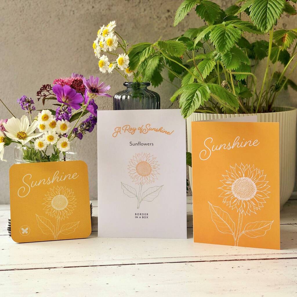 Ray Of Sunshine Sunflower Gift Set By Border in a Box