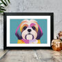 Shih Tzu Colourful Graphic Dog Portrait Print, thumbnail 1 of 2