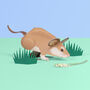 Create Your Own Adorable Dormouse, thumbnail 1 of 2