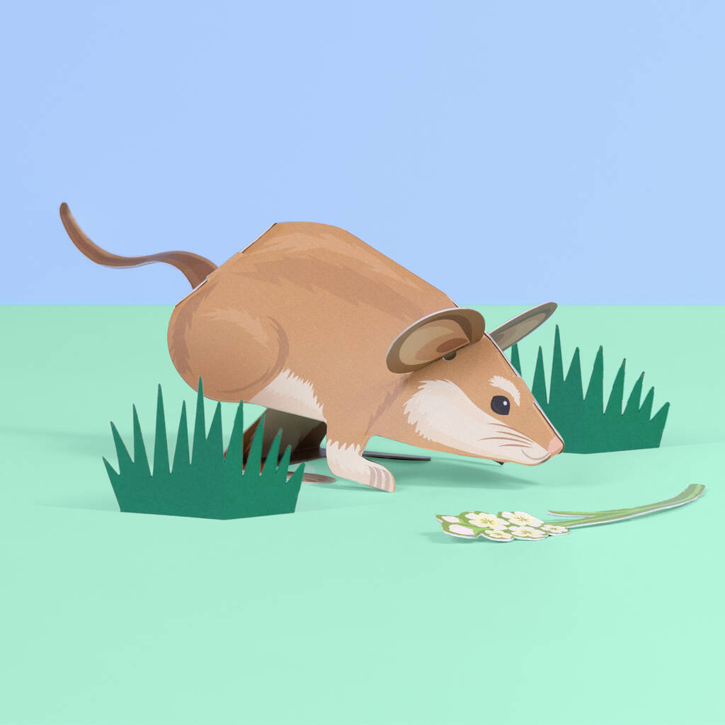 Create Your Own Adorable Dormouse