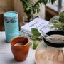 Monsoon Hills Masala Chai Gift Tube, thumbnail 4 of 8