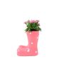Pink Polka Dot Wellies Planter With Dianthus Plant, thumbnail 2 of 5