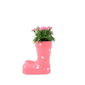 Pink Polka Dot Wellies Planter With Dianthus Plant, 2 of 5