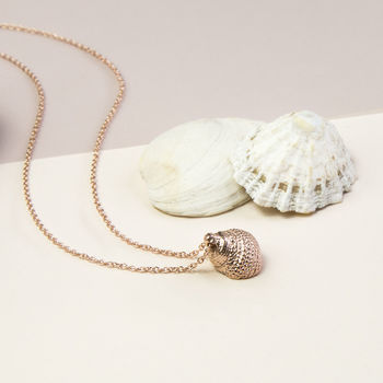 Sterling Silver Rose Gold Nutmeg Shell Necklace, 4 of 5