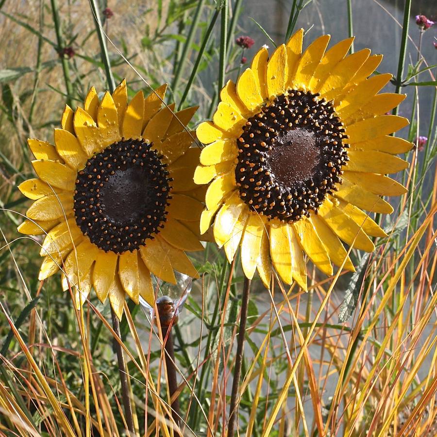 Pair Of Sunflower Garden Stakes Art018 Set2, 1 of 6