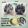 Bork Nose And Paw Balm For Dogs, thumbnail 2 of 12