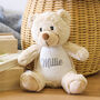 Personalised Soft Toy Teddy Bear Gift For Kids, thumbnail 1 of 4