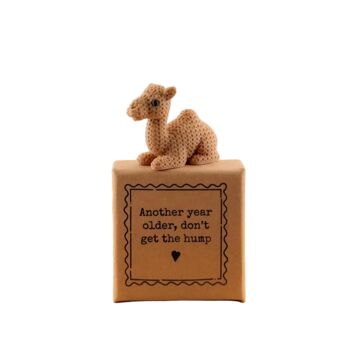 Another Year Older, Don't Get The Hump Tiny Little Gifts, 3 of 3